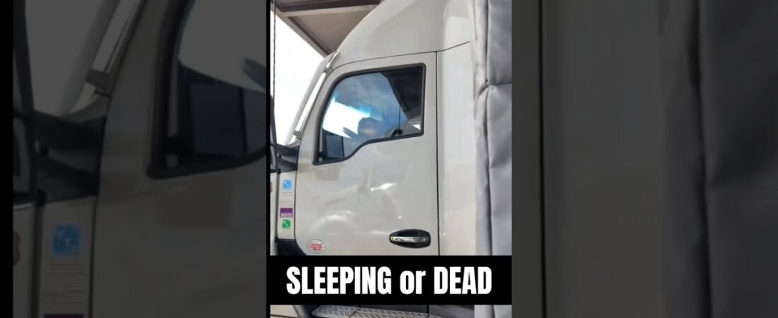 SLEEPING or DEAD – Fun New Trucker Game!