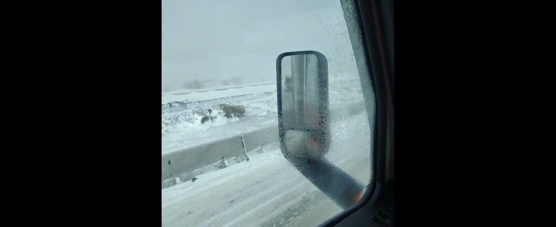 This is AMERICAN TRUCKING! Hang out POV with a Old School Trucker.