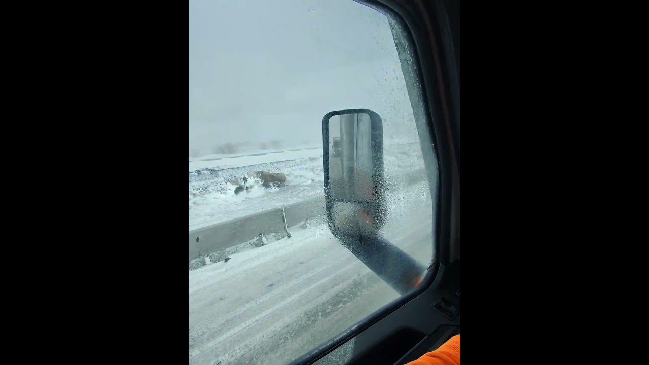 This is AMERICAN TRUCKING! Hang out POV with a Old School Trucker.