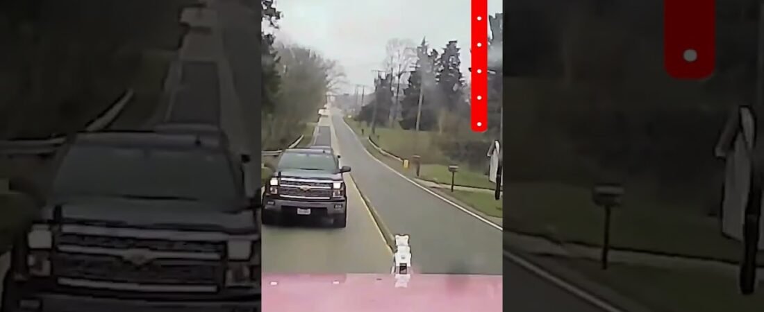 School Bus VS Big Rig with NO BRAKES! Heart Stopping Decisions were made right here.