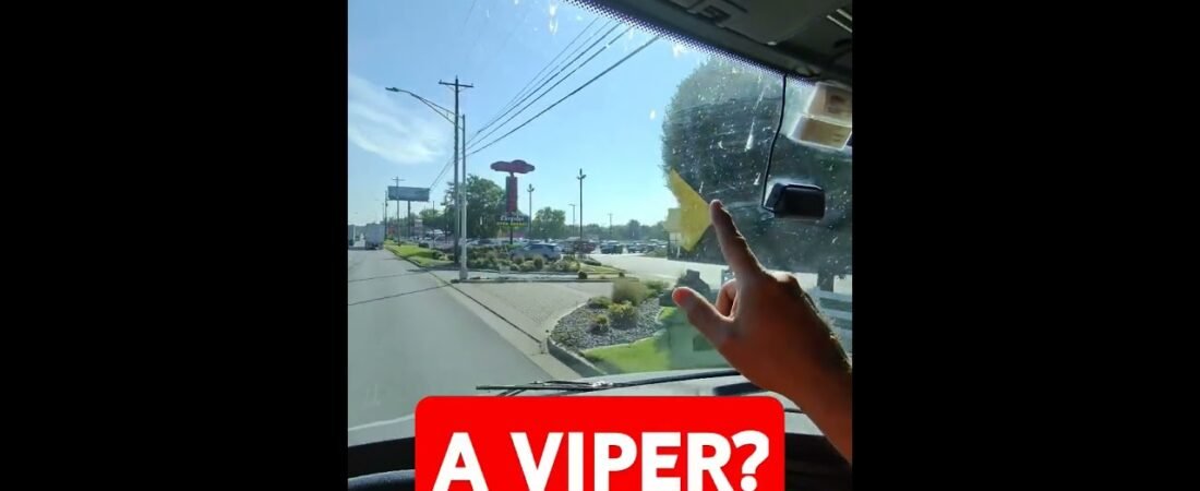 A REAL DODGE VIPER ON A POLE? Here’s your proof that middle America is CRAZY