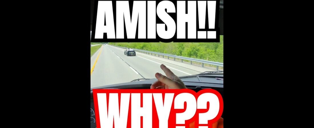 AMISH people are always blocking traffic!