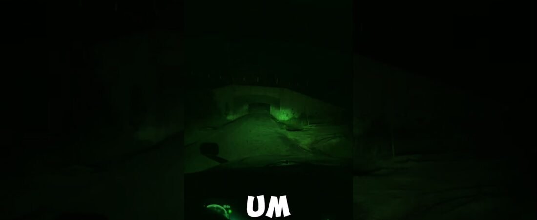 Alone, Affraid, this Female Truck Driver in the MIDDLE OF NOWHERE is STUCK under a LOW BRIDGE!