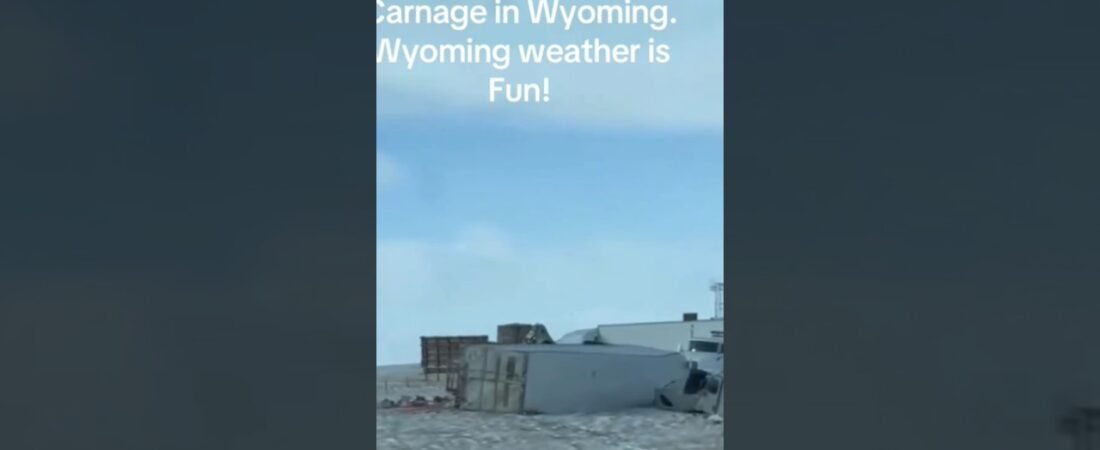 American Trucking on STEROIDS!