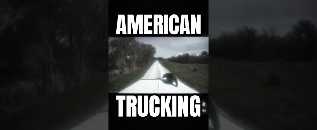 American Trucking problems are just different.