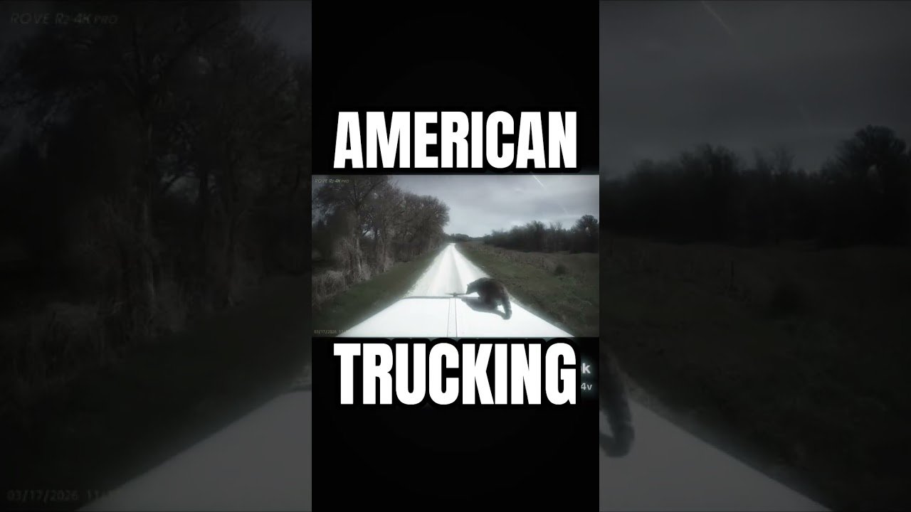 American Trucking problems are just different.