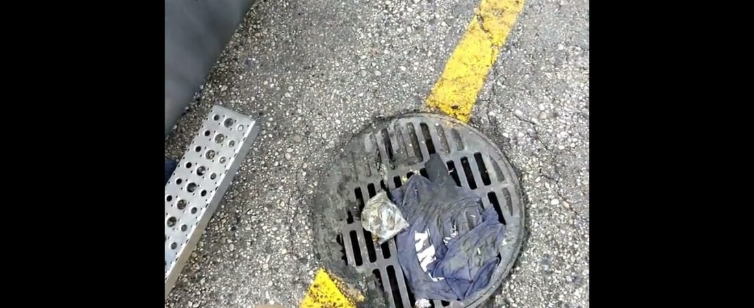 Another surprise waiting for me just outside my Big Rig. Who doesn’t love surprises? What about you?