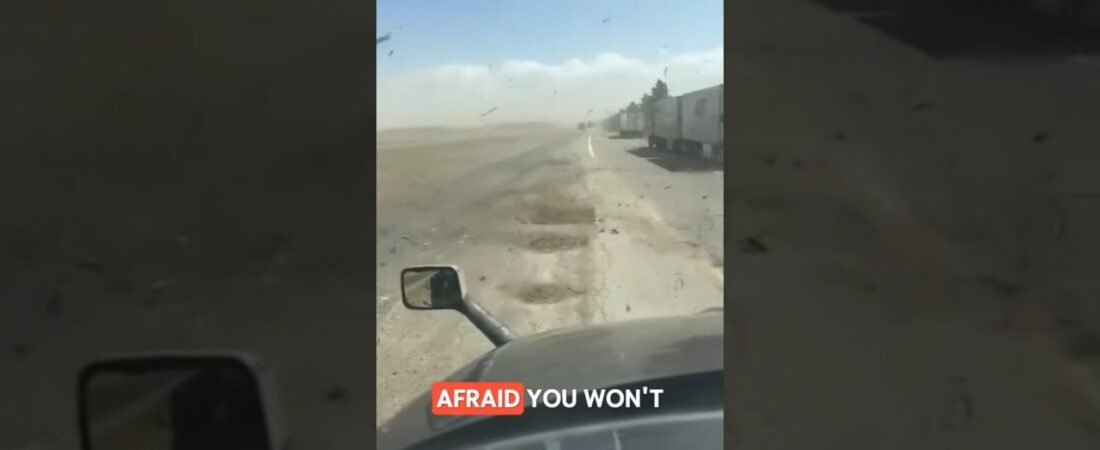Are you afraid you might not make it home, Driver?