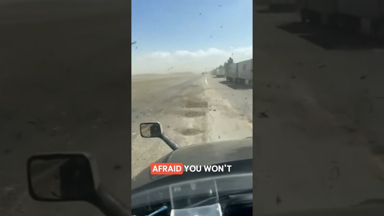 Are you afraid you might not make it home, Driver?