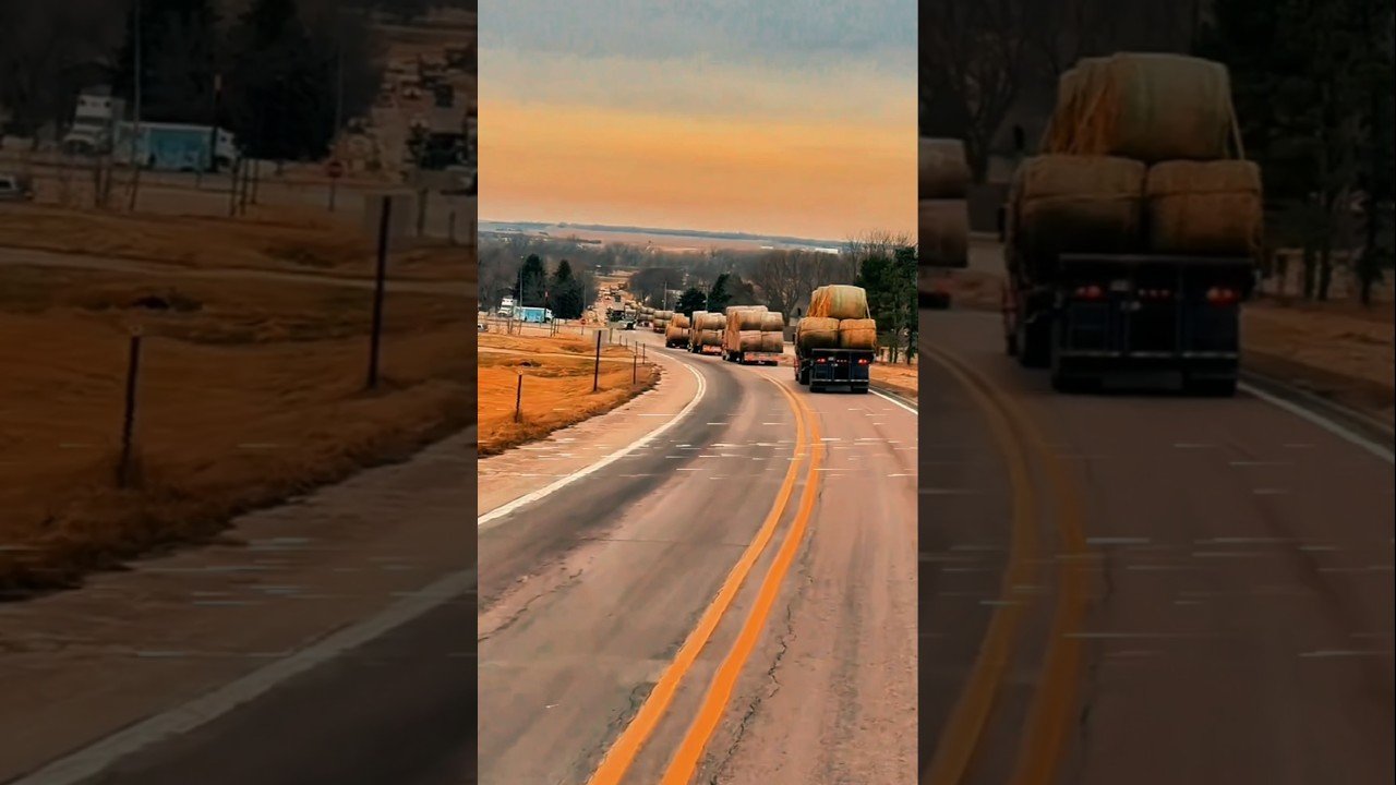 Are you one of us? Can you hang with the old school CDL Holders?