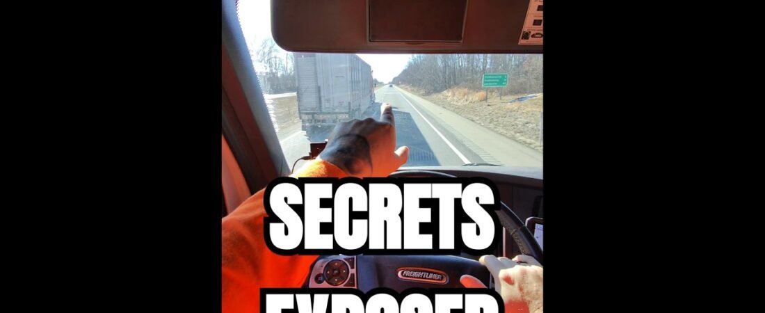 BULL HAULER SECRETS THEY DONT WANT YOU TO KNOW. They are hiding the animals!