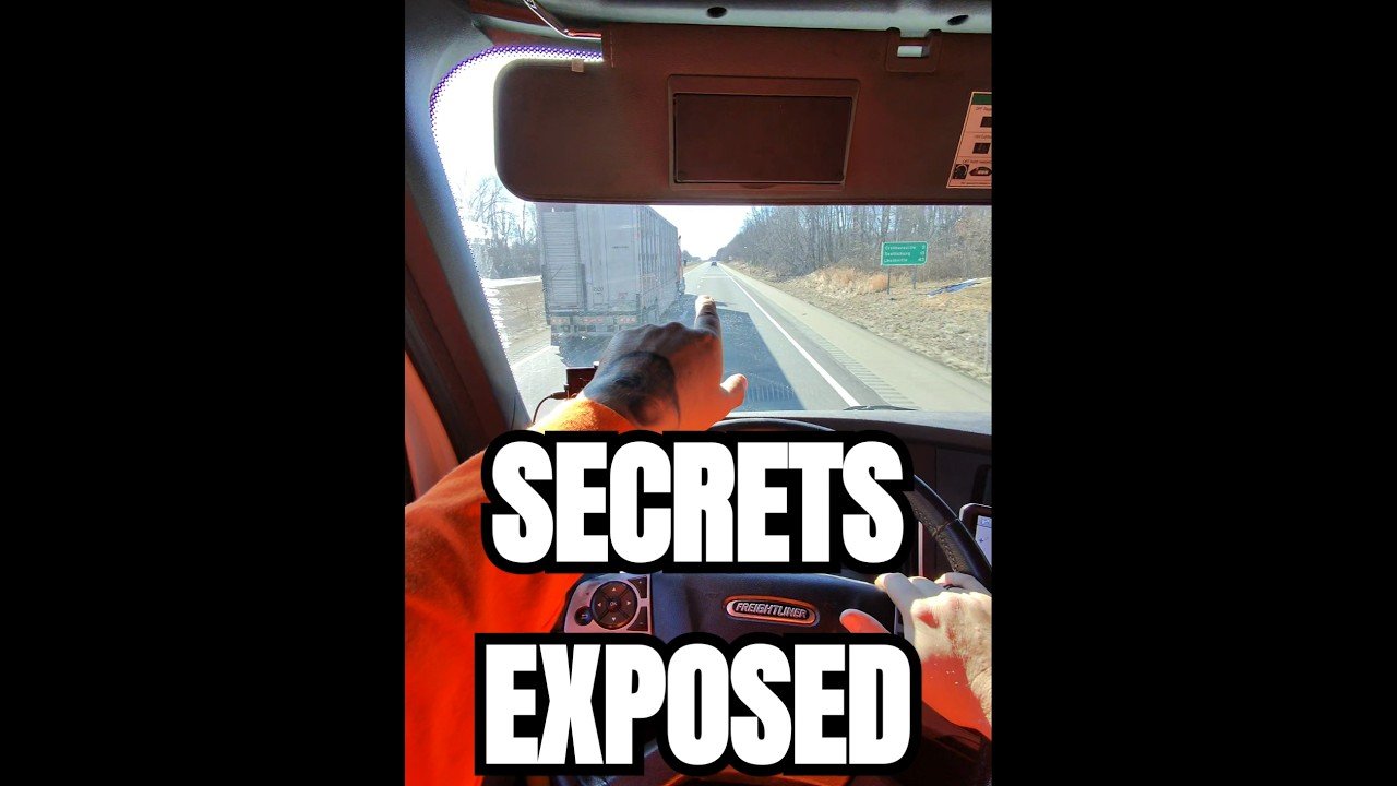 BULL HAULER SECRETS THEY DONT WANT YOU TO KNOW. They are hiding the animals!