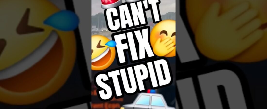 Can’t Fix Stupid Out There On The Highway! Buy you can film it.