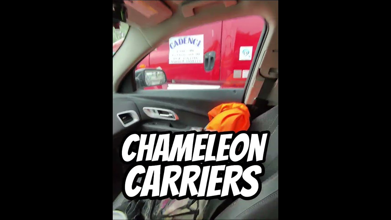 Chameleon Carriers EXPOSED!