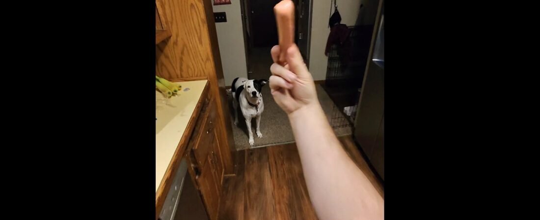 DADDY – DOGGY DATE NIGHT. THIS IS WHY I WORK AS HARD AS I WORK.