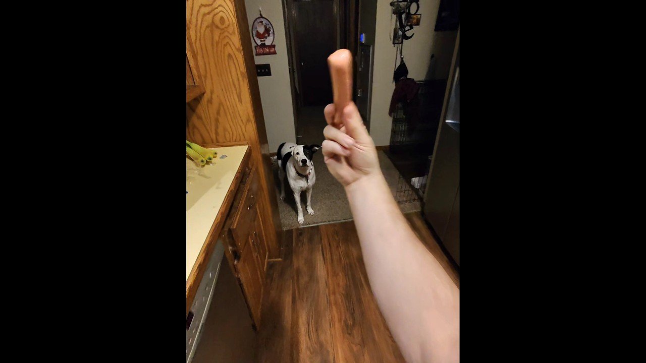 DADDY – DOGGY DATE NIGHT. THIS IS WHY I WORK AS HARD AS I WORK.