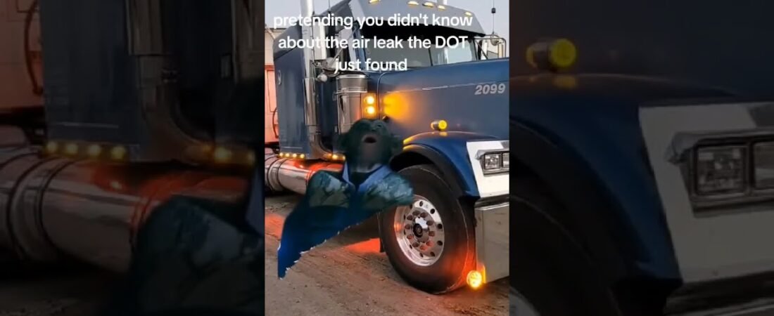 DOT found an air leak that I was hiding for weeks. What do I do now?