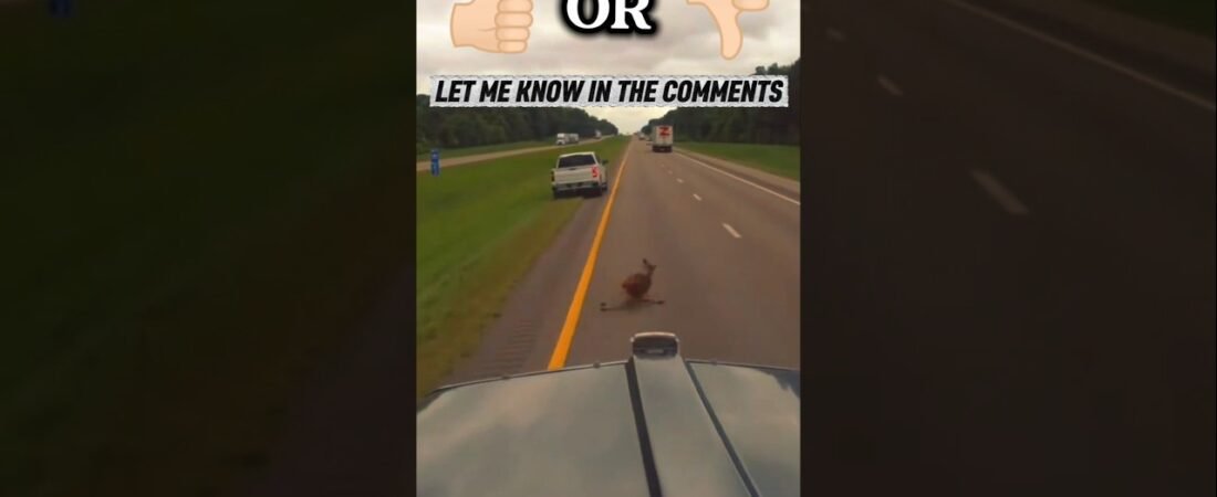 Decisions come hard and fast out here on the highways. Truckers live with their decisions every day.