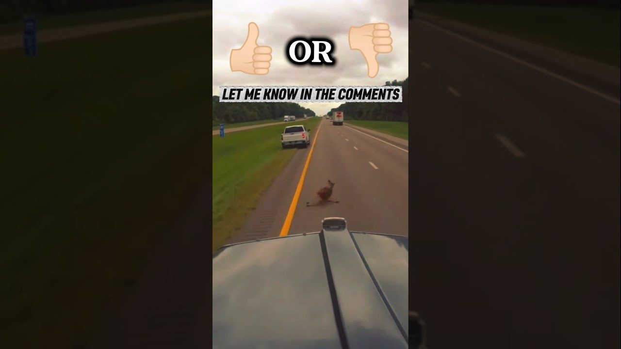 Decisions come hard and fast out here on the highways. Truckers live with their decisions every day.