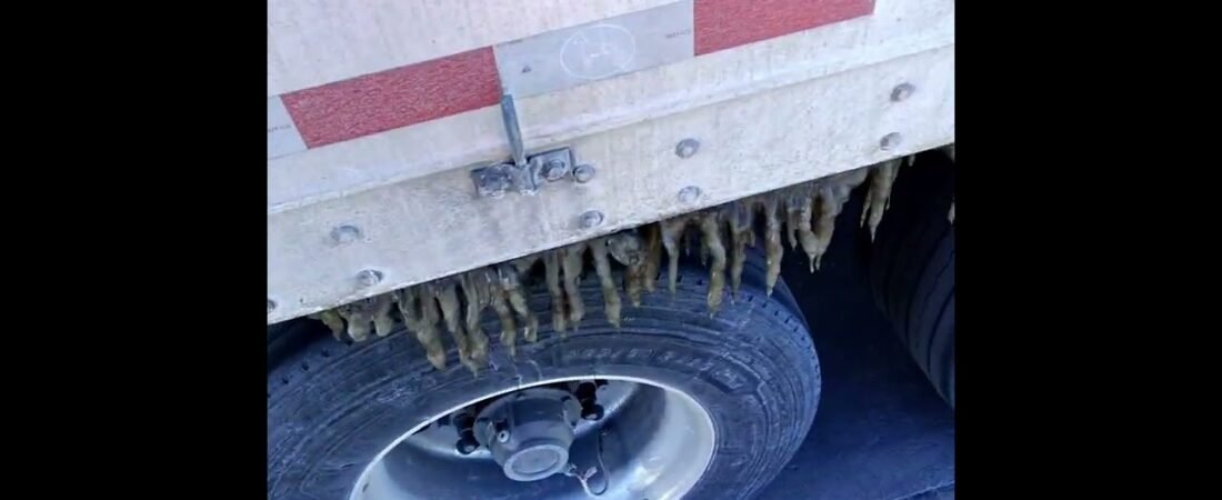 Destroying HUNDREDS OF ICICLES hanging from my Semi Trailer. #ASMR #POV #Trucker #Shorts
