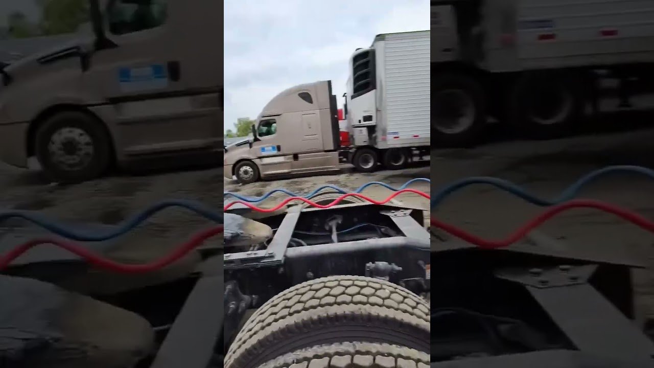 Driver stopped just in time! It doesn’t get closer than this.
