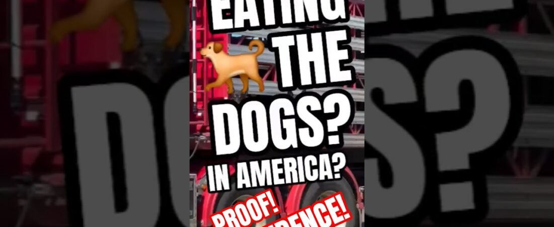 EATING THE DOGS? MCDONALD’S NEW MEAT SUPPLY LOOKS LIKE DOGS TO ME! These truckers know the truth!