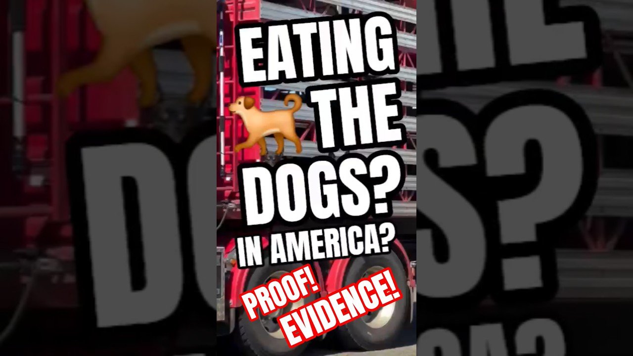 EATING THE DOGS? MCDONALD’S NEW MEAT SUPPLY LOOKS LIKE DOGS TO ME! These truckers know the truth!