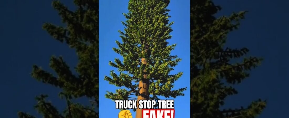 EVEN THE TRUCK STOP TREES ARE FAKE!