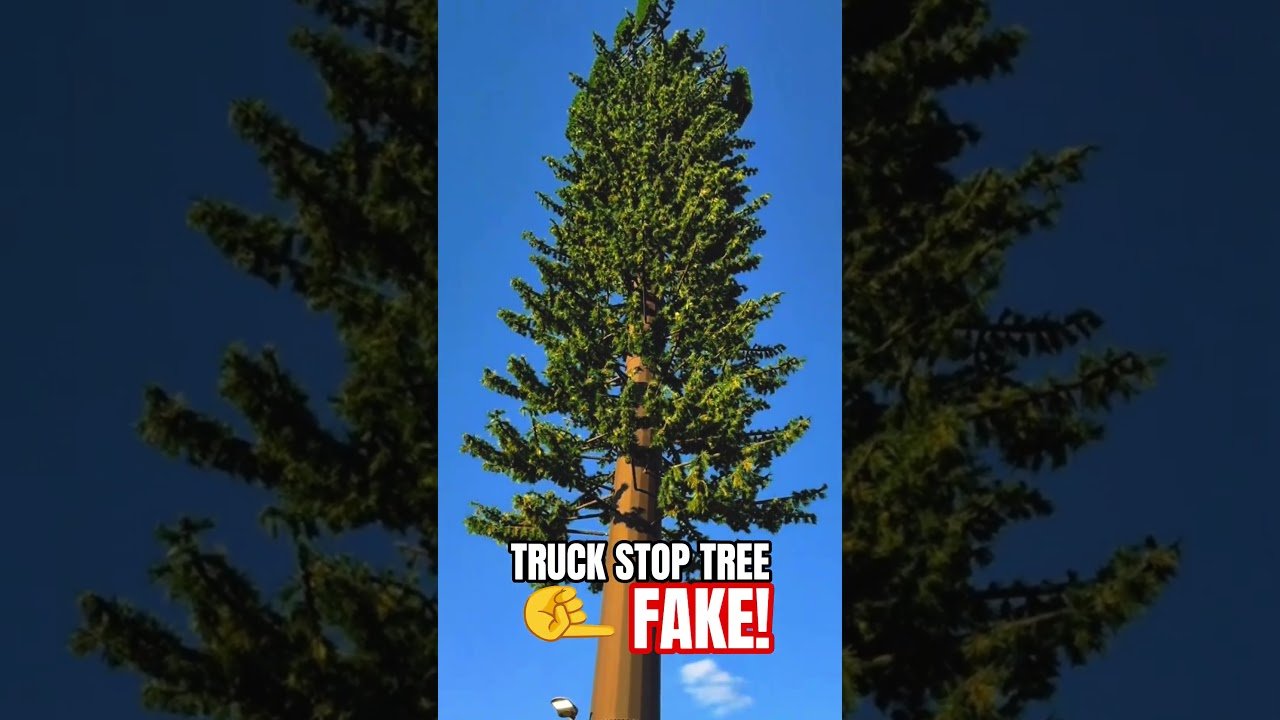 EVEN THE TRUCK STOP TREES ARE FAKE!