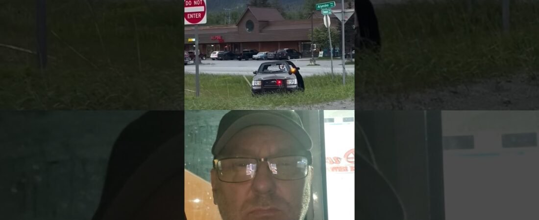 FAKE POLICE CAR STOP PEOPLE FROM SPEEDING AND BREAKING LAWS.