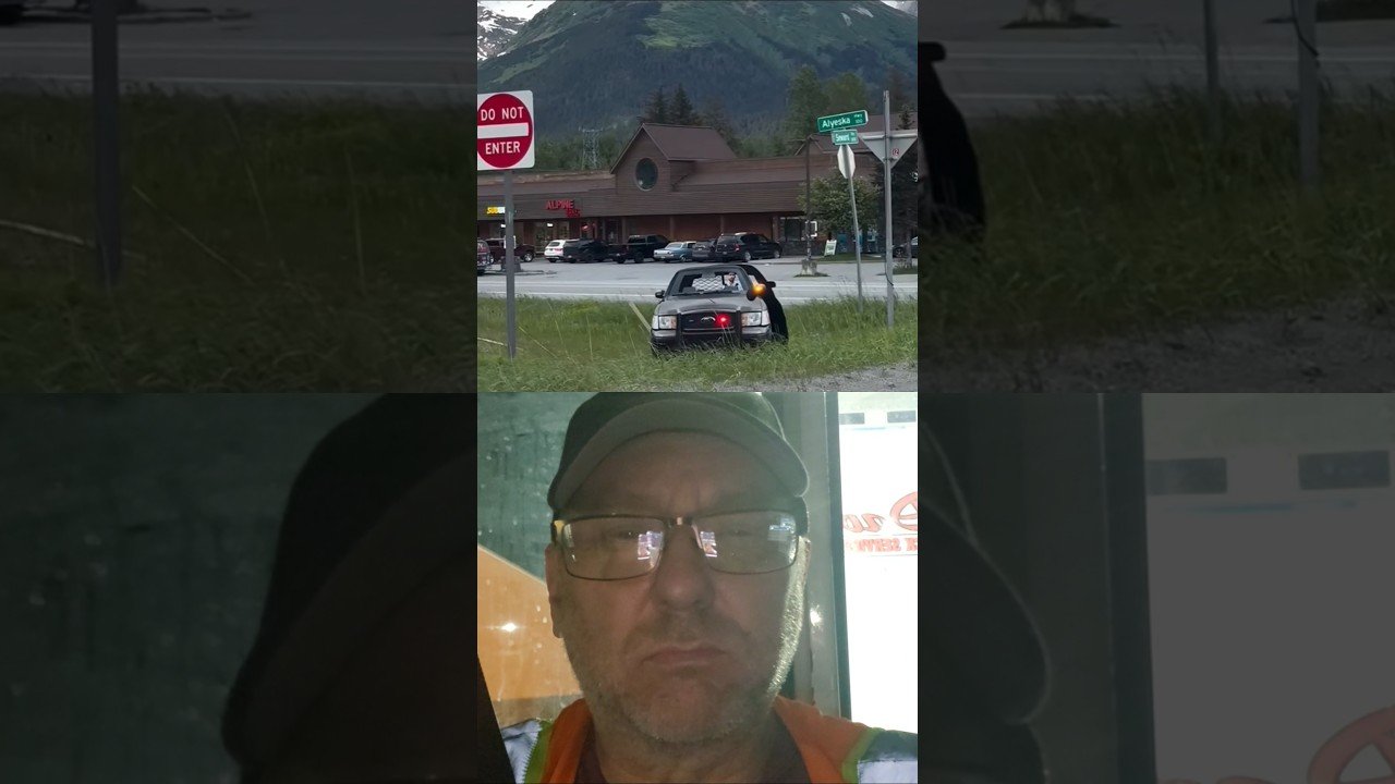 FAKE POLICE CAR STOP PEOPLE FROM SPEEDING AND BREAKING LAWS.