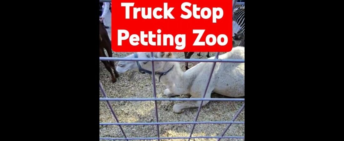Free Truck Stop Pettng Zoo for ALL AGES! Flying J maade traveling fun again.