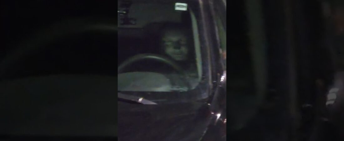 Ghost Face Headrest  Covers that REALLY Scare people! CHEAP TRUCKER FUN!