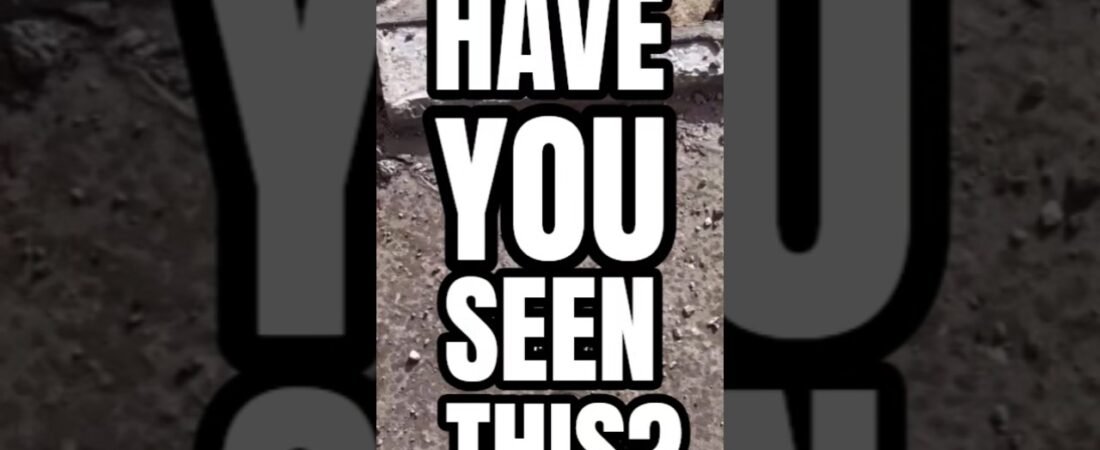 HAVE YOU SEEN THIS?