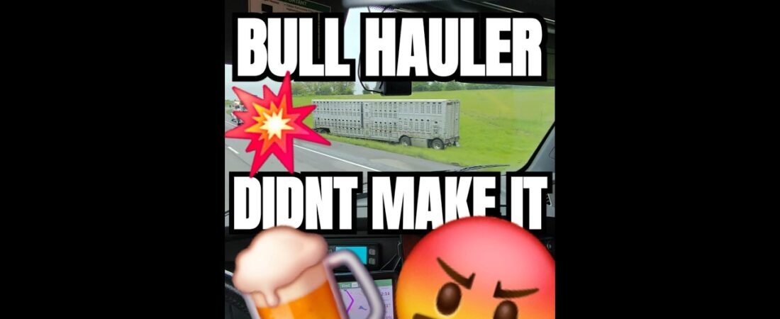HE DIDN’T MAKE IT. This bull hauler pushed too hard.