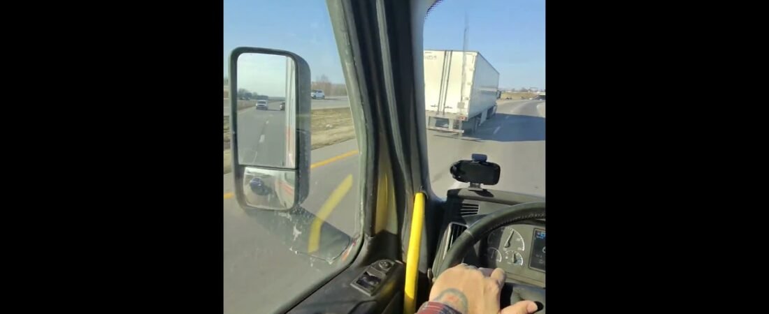 HE WANTS TO PLAY! Let’s find out what kind of driver he is.