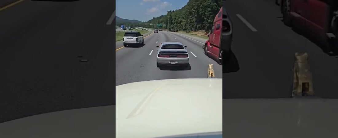 HELLCAT SHUTS TRUCKER DOWN! Road Rage on the highway.