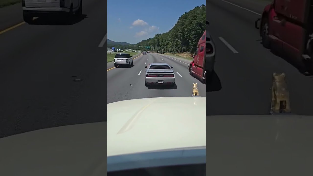 HELLCAT SHUTS TRUCKER DOWN! Road Rage on the highway.
