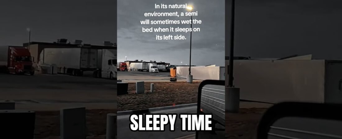 HOW SEMI TRUCKS SLEEP WHEN NOBODY IS LOOKING.
