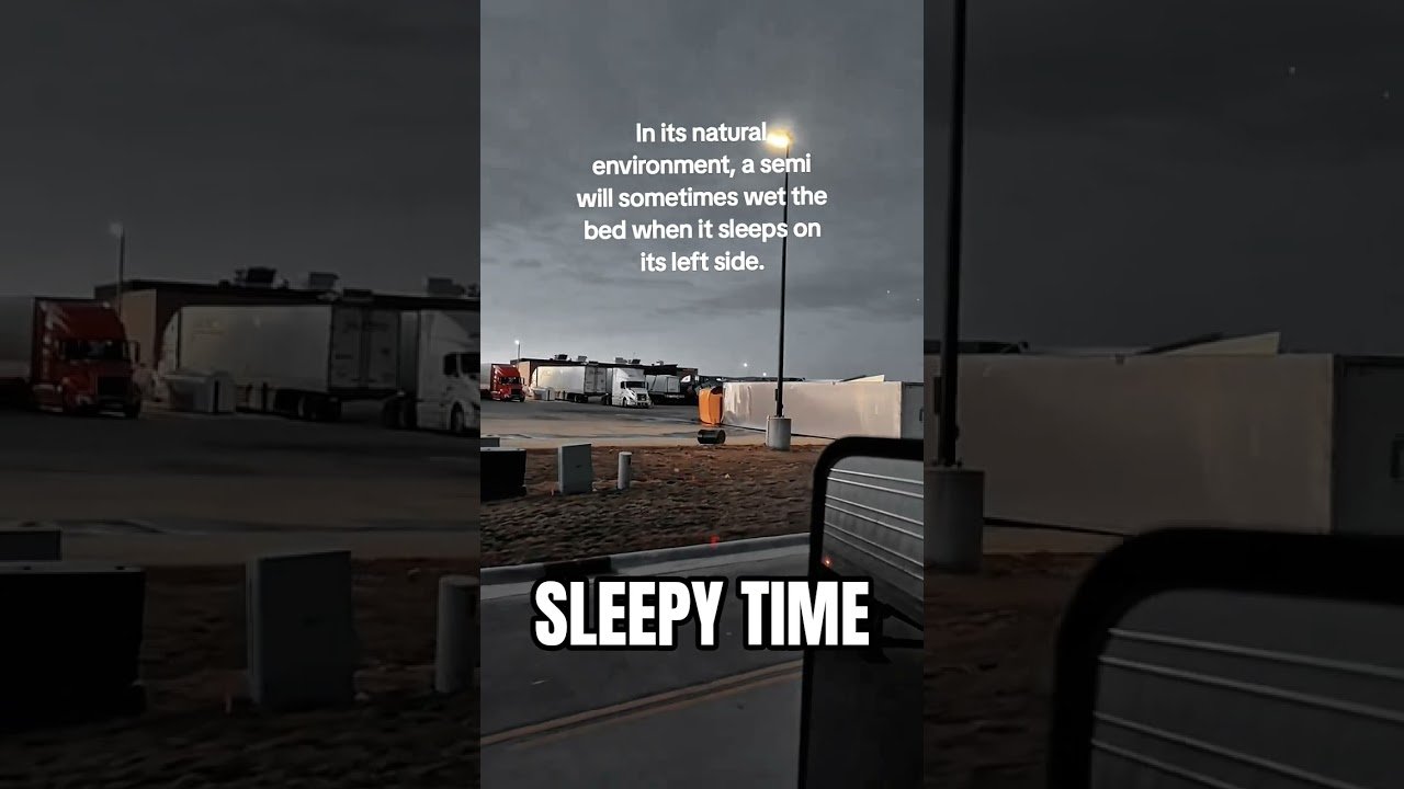 HOW SEMI TRUCKS SLEEP WHEN NOBODY IS LOOKING.