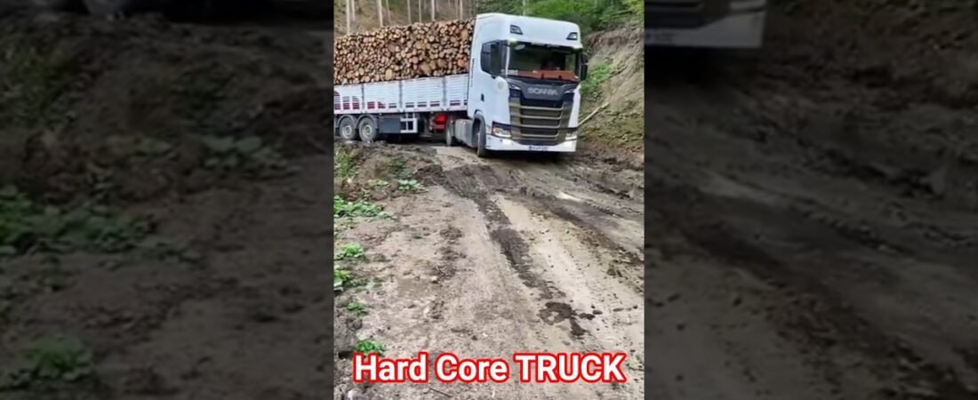 Heavy Duty Truck #scania #automobile #truckdriver #trucker #truck