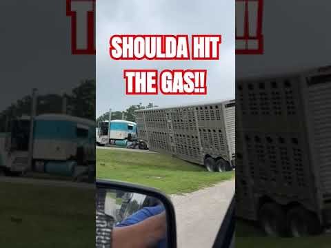 Hitting the gas woulda got this driver through the ditch. Truckers make mistakes.
