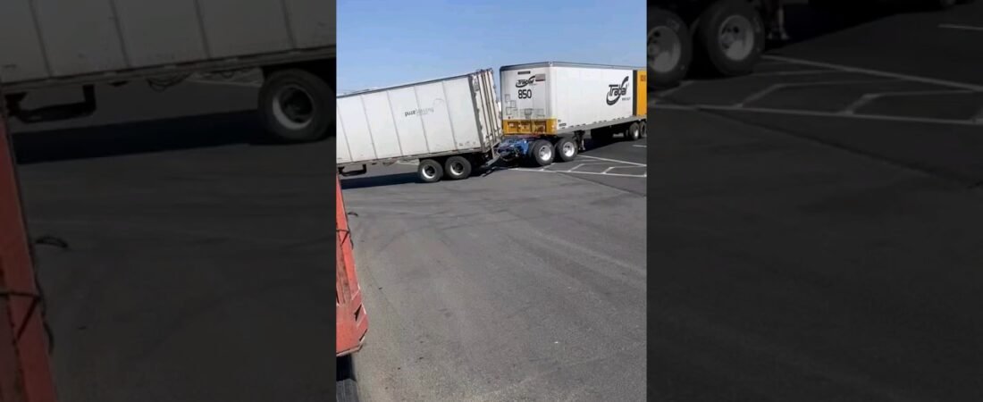 How baby trailers are made. They got knotted while making babies. One is playing hard to get though.