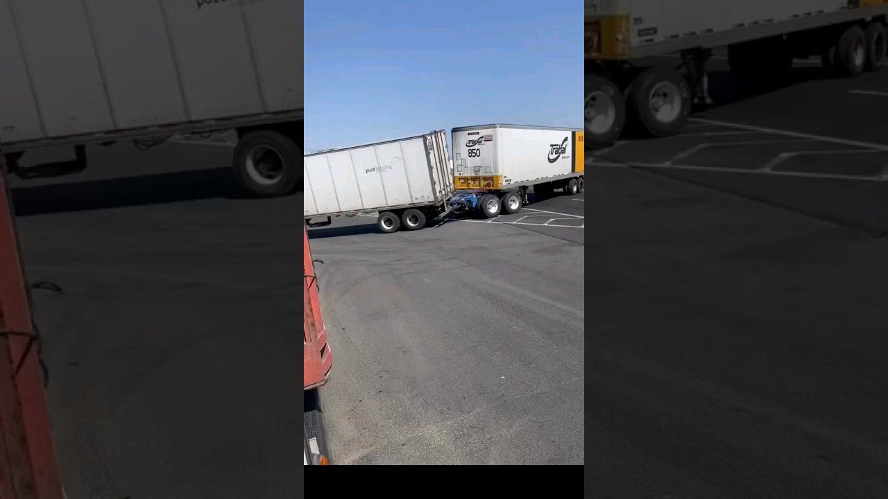 How baby trailers are made. They got knotted while making babies. One is playing hard to get though.