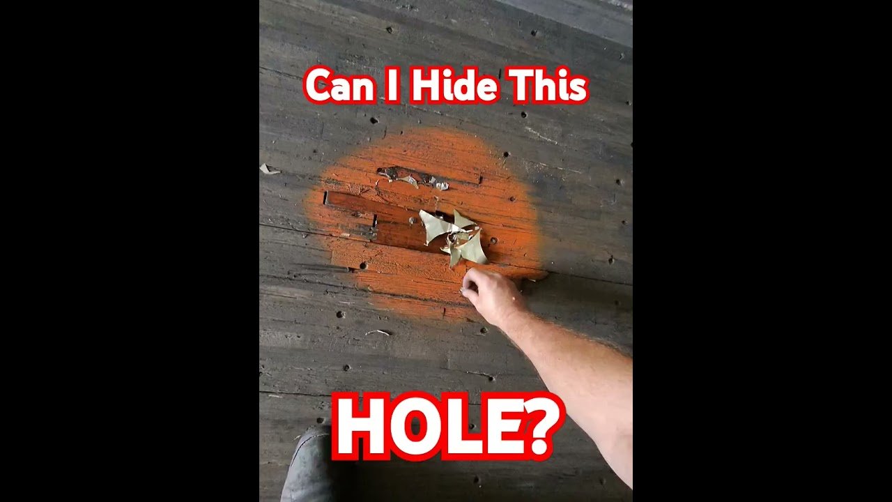 How can I hide this HOLE in my trailer? They won’t load me with a hole this size!