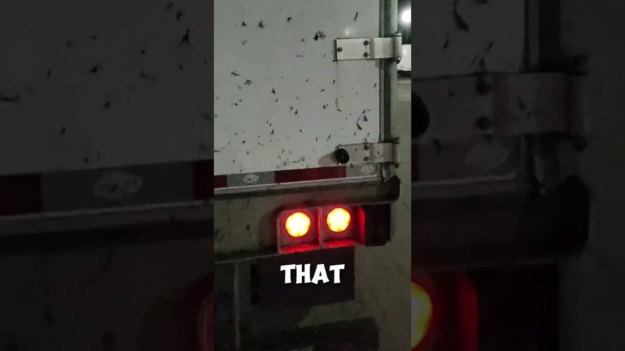 How do you get BUG SPLATS on the BACK of your trailer, driver?