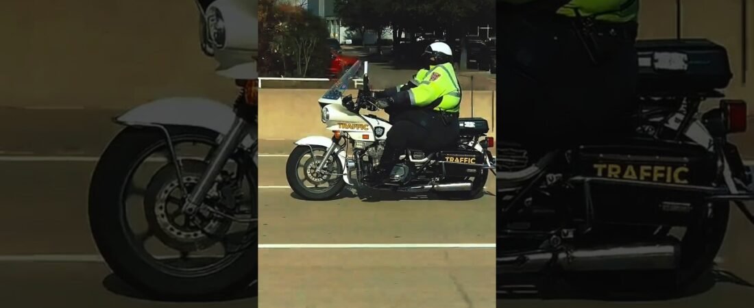 How does this even happen? This is the biggest cop I’ve ever seen!