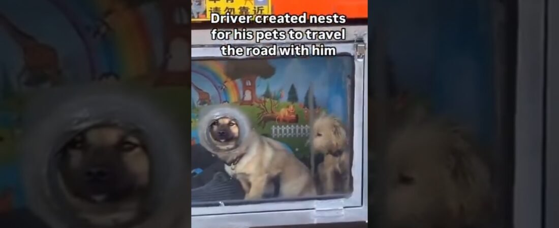 How far is TOO FAR for a Trucker to go for his pets? This might be it.