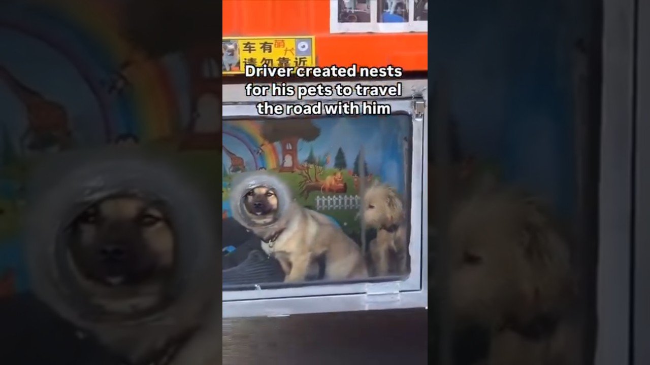 How far is TOO FAR for a Trucker to go for his pets? This might be it.