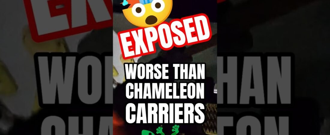 I EXPOSED SOMETHING FAR WORSE THAN CHAMELEON CARRIERS IN THE TRUCKING INDUSTRY. @NickShirley